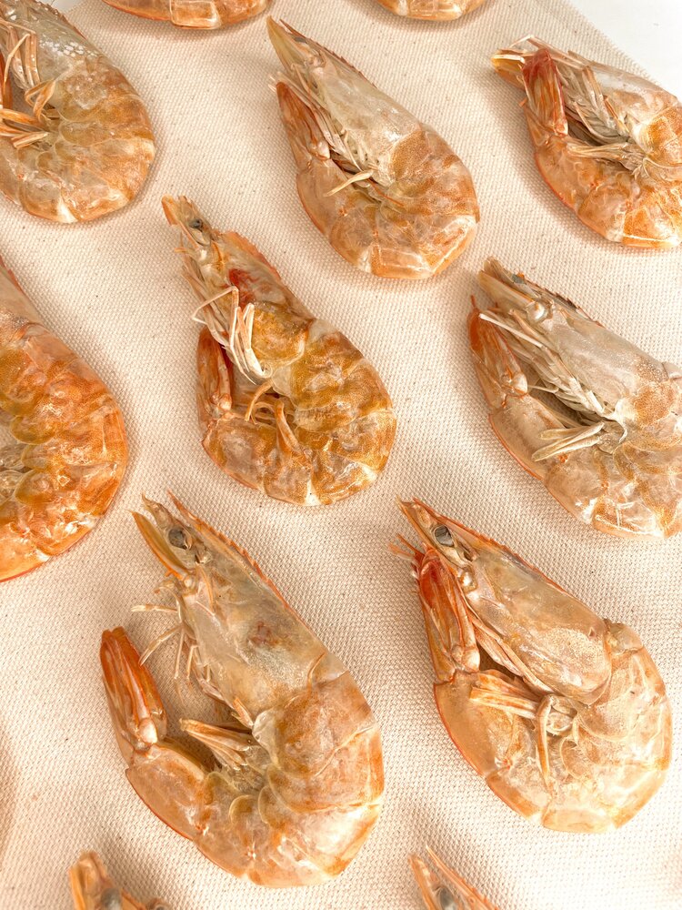 Droolicious Freeze Dried Shrimp