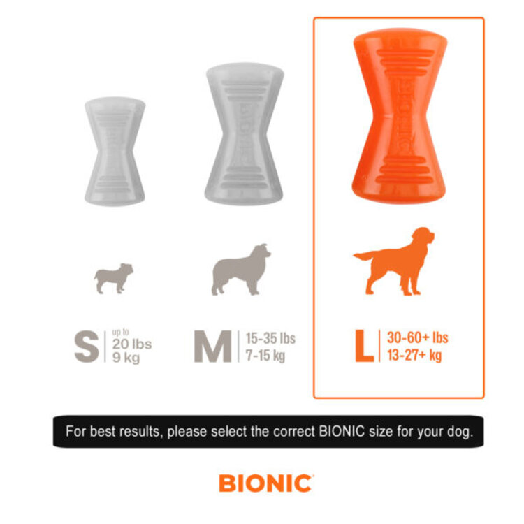 Bionic Bionic Bone