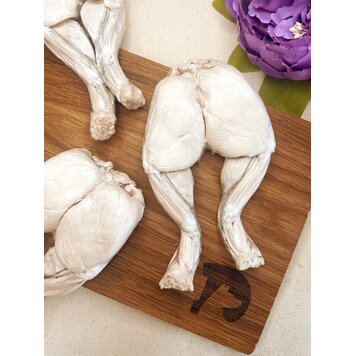 Droolicious Freeze Dried Frog Legs