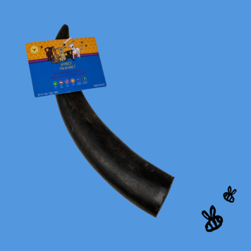 Honey I'm Home! Honey Buffalo Horn Large