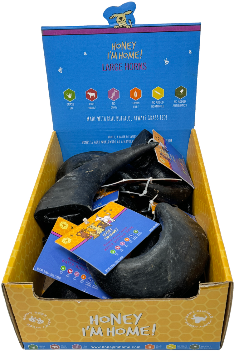 Honey I'm Home! Honey Buffalo Horn Large