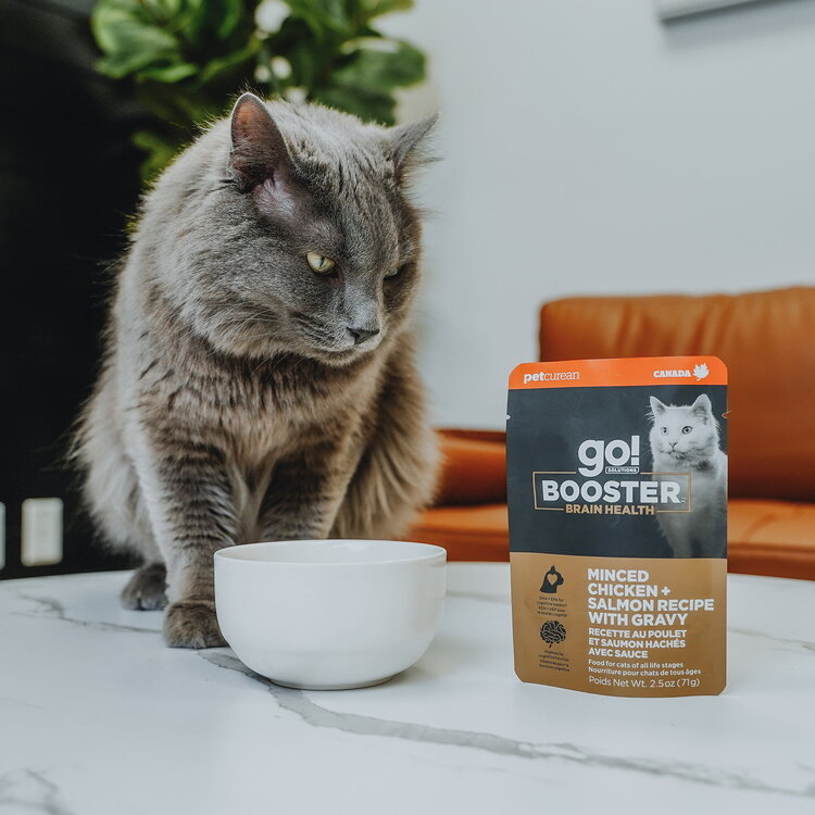 Go! Go! Booster Brain Chicken Salmon Gravy 2.5oz