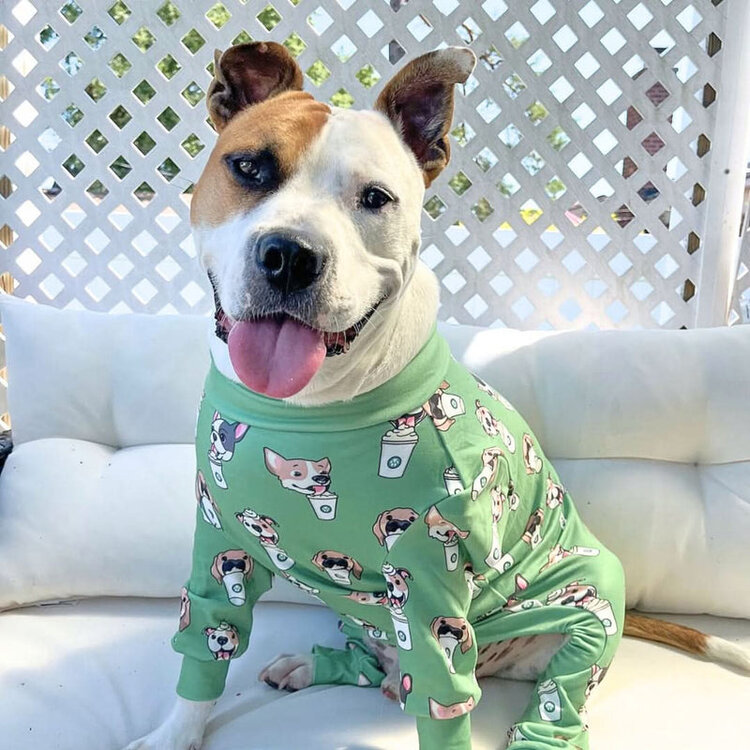 Spark Paws Dog Pajama