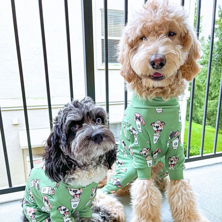 Spark Paws Dog Pajama