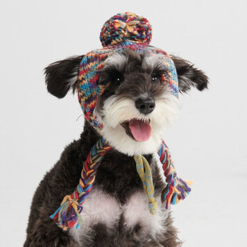 Spark Paws Knit Pom Kaleidoscope Medium