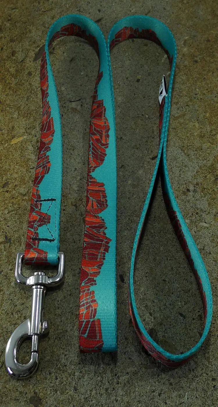 Mtn Straps Leash