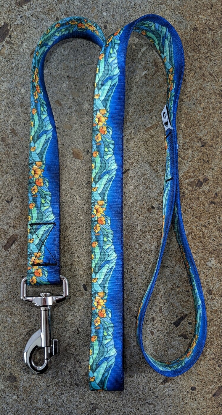Mtn Straps Leash