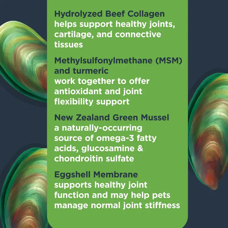 Nulo Mobility Soft Chew 90ct