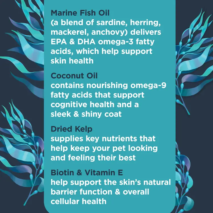 Nulo Omega Soft Chew 90ct