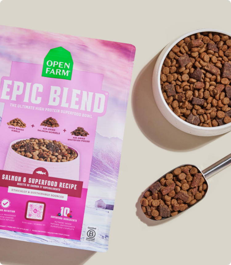 Open Farm Chicken Ancient Grain 22lb