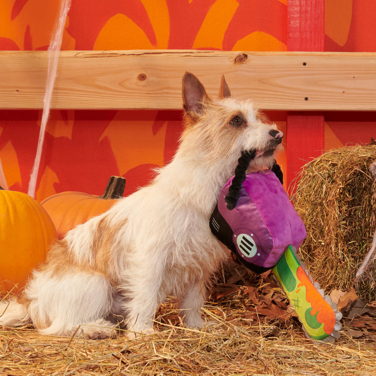 BARK BARK Dog Texas Chainspaw