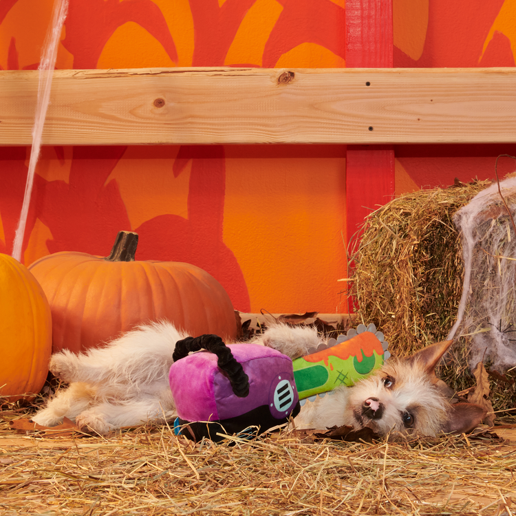 BARK BARK Dog Texas Chainspaw