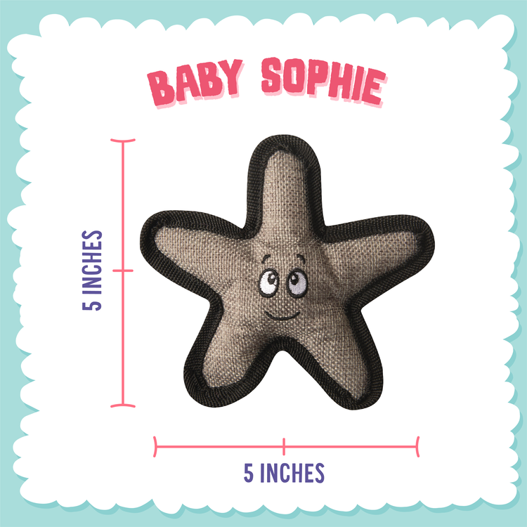 Sophie the Starfish