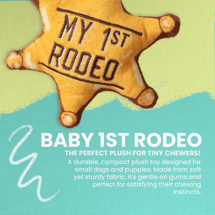 Baby 1st Rodeo Plush Toy