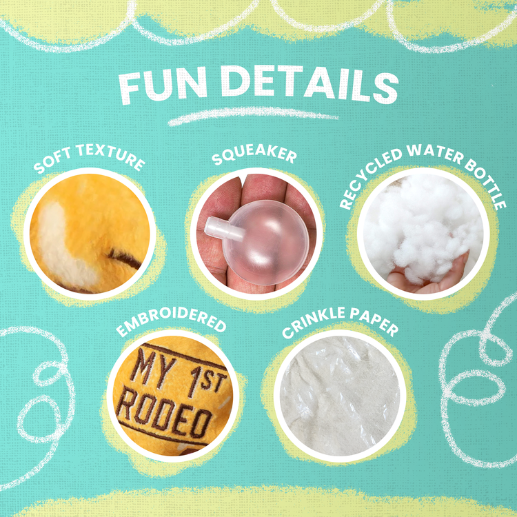 Baby 1st Rodeo Plush Toy