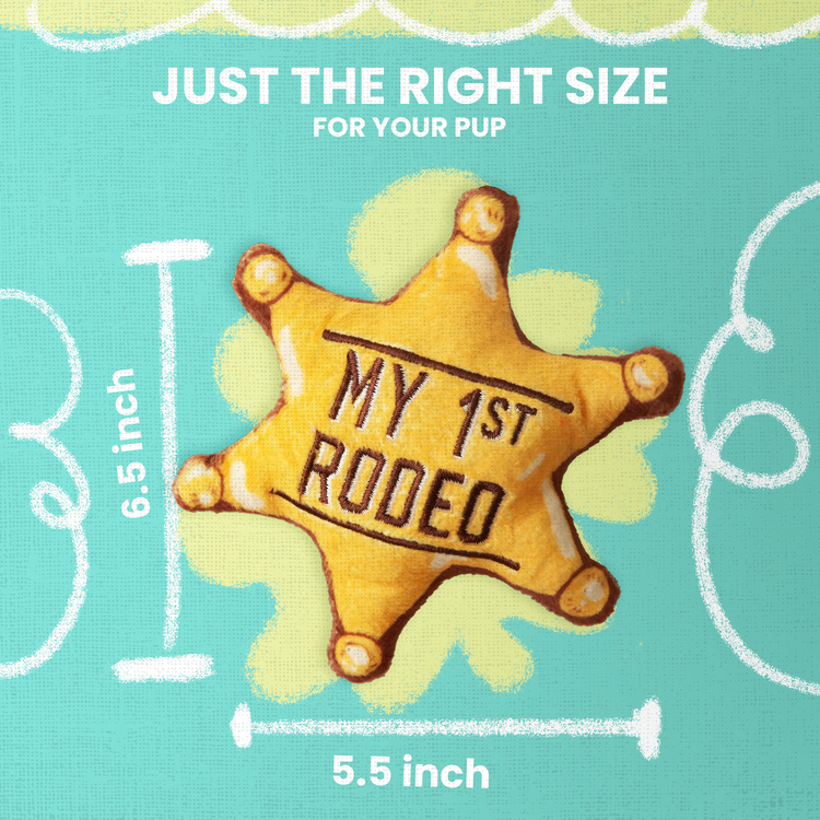 Baby 1st Rodeo Plush Toy