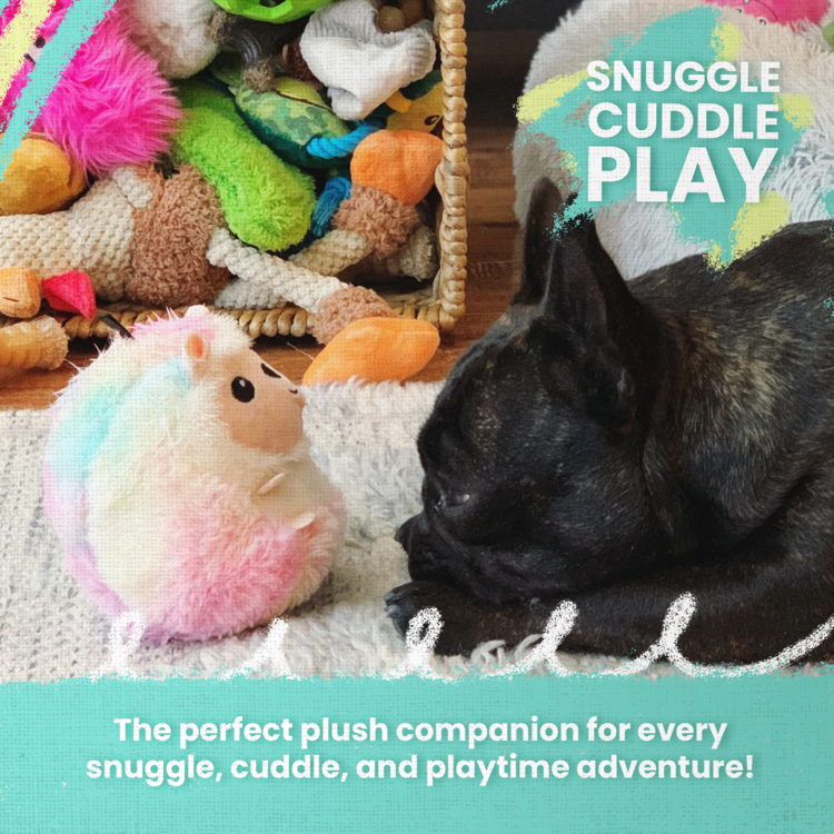 Baby 1st Rodeo Plush Toy