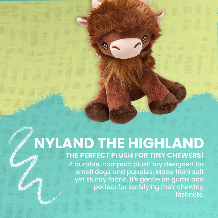 Nyland the Highland Plush Toy
