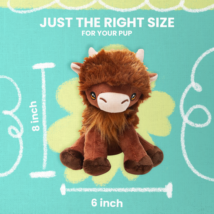 Nyland the Highland Plush Toy