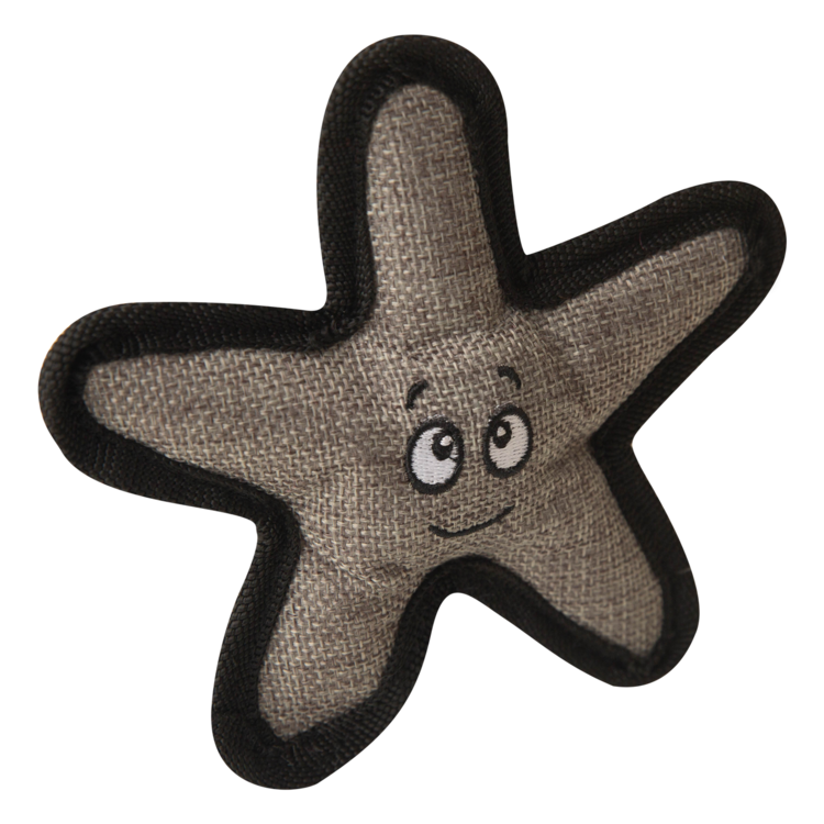 Baby Sophie Starfish