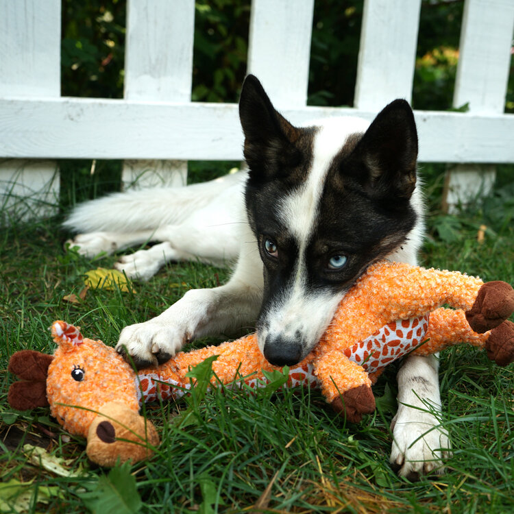 Shakers Luvs Giraffe Plush L