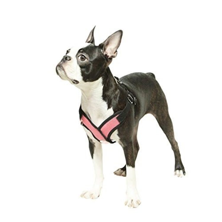 Comfort X Step-In Harness