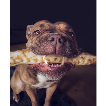 EARTH ANIMAL DOG NO-HIDE CHICKEN 11IN single