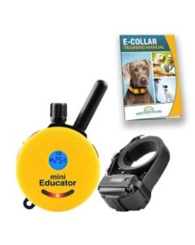 E-Collar Mini Educator Orange