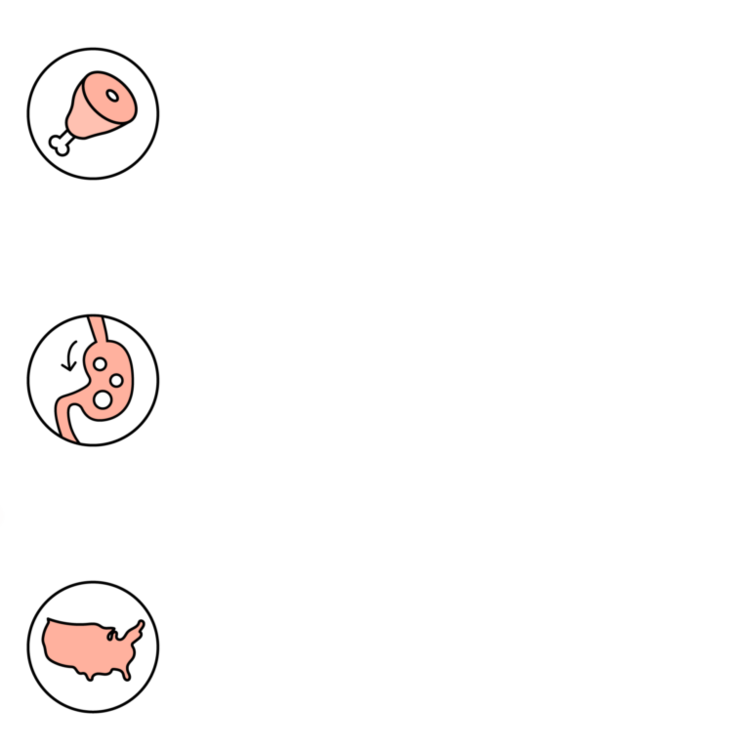 BIXBI RAWBBLE DOG FD BEEF 4.5OZ