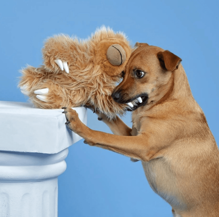 BARK BARK Gordon the Giant Sloth