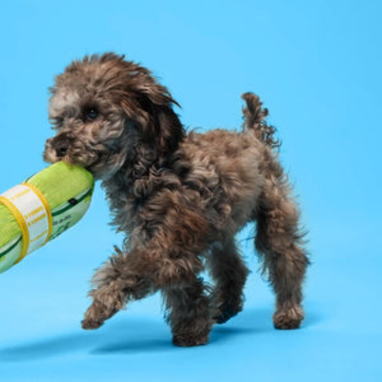 BARK BARK Doggo Doggo Bills