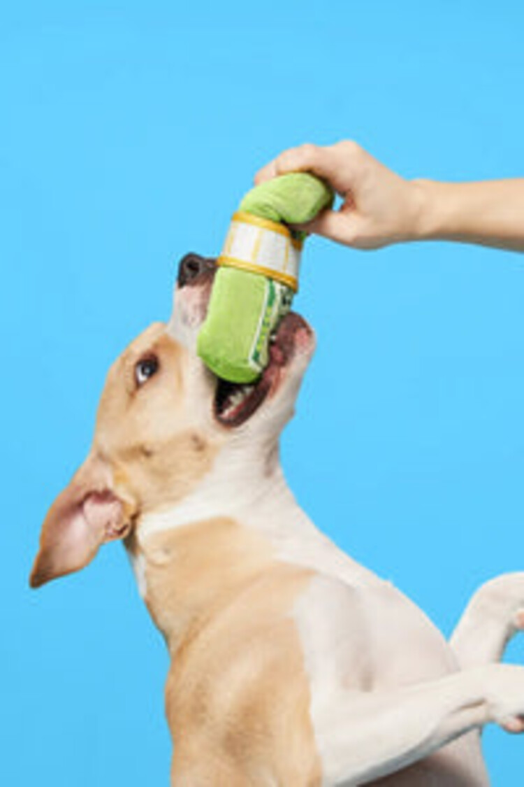 BARK BARK Doggo Doggo Bills