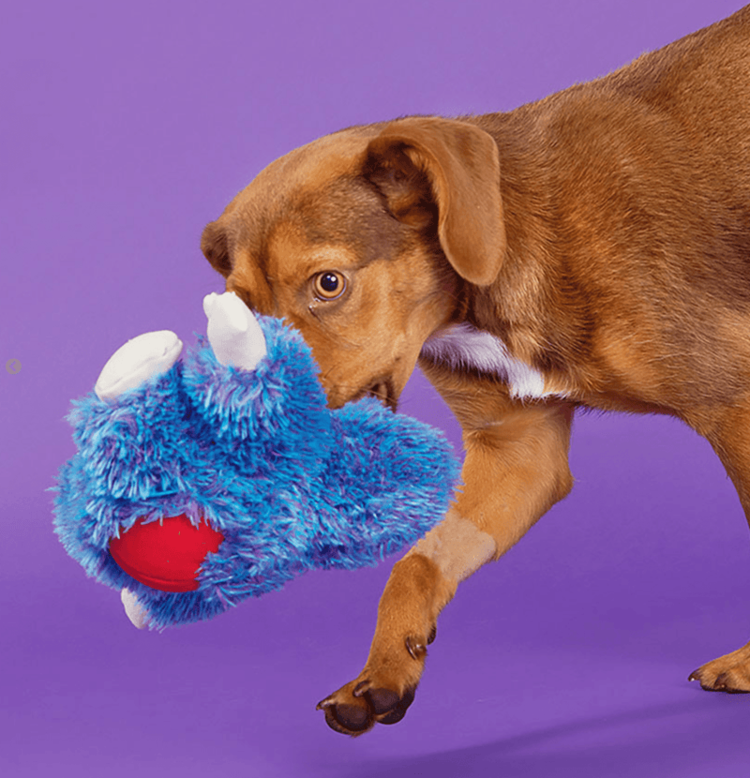 BARK BARK Zeke the Cheeky Monkey