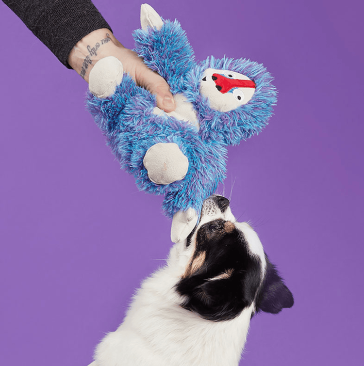 BARK BARK Zeke the Cheeky Monkey