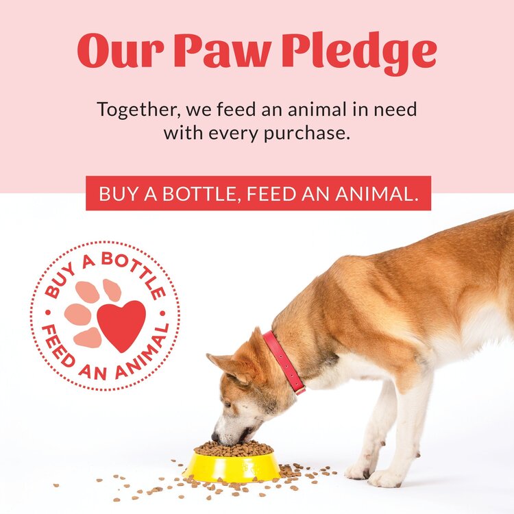 Skouts Dog Stop Marking 35OZ