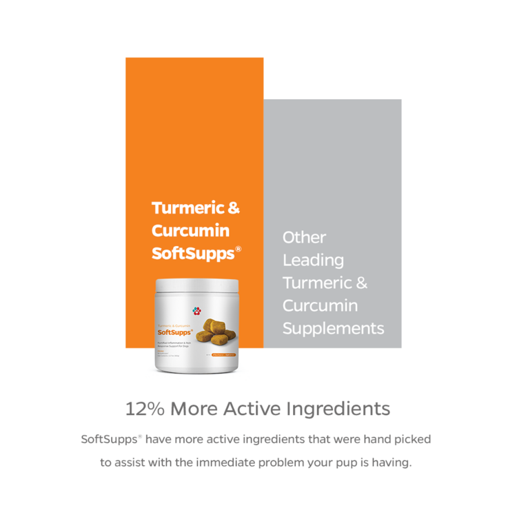 Turmeric/Curcumin Supplement 90ct