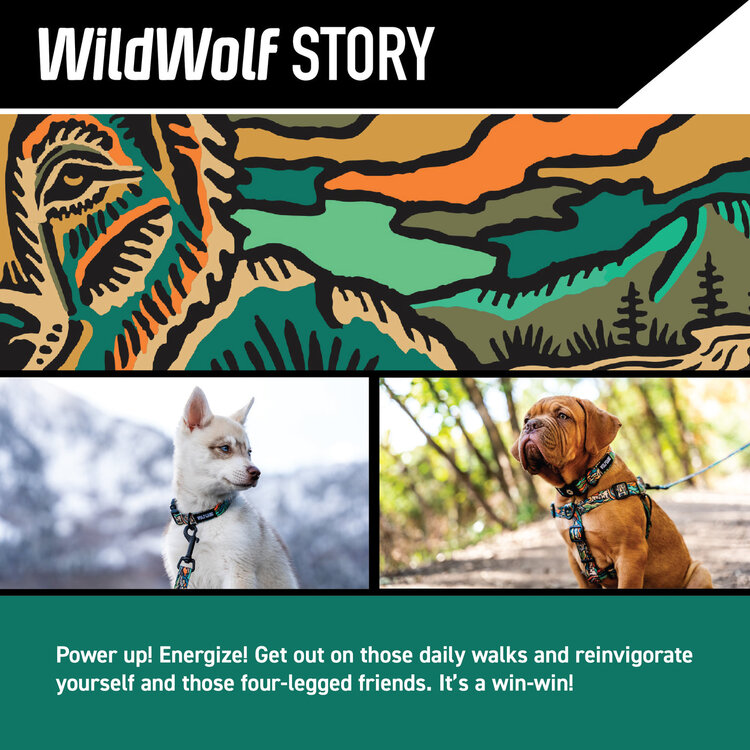 WildFlower Dog Collar 18-26"