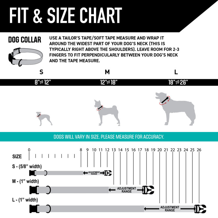 WildFlower Dog Collar 18-26"