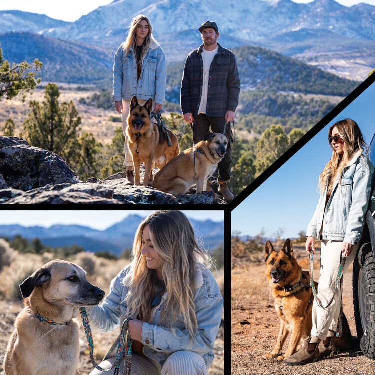 WildFlower Dog Collar 18-26"