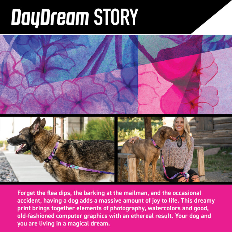 DayDream Dog Collar 6-8"