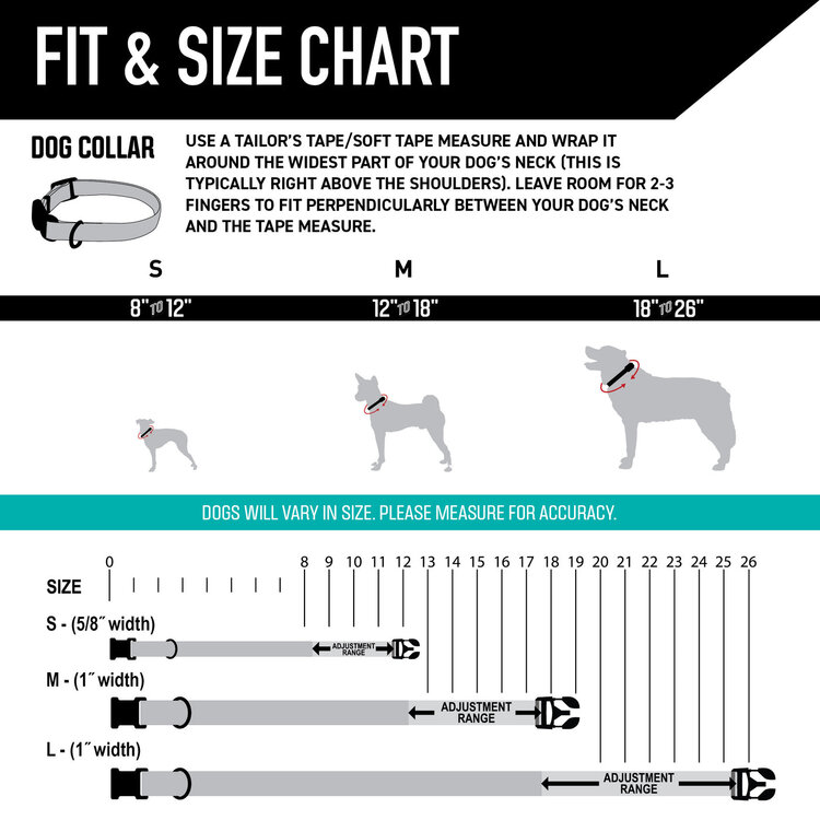 DayDream Dog Collar 6-8"