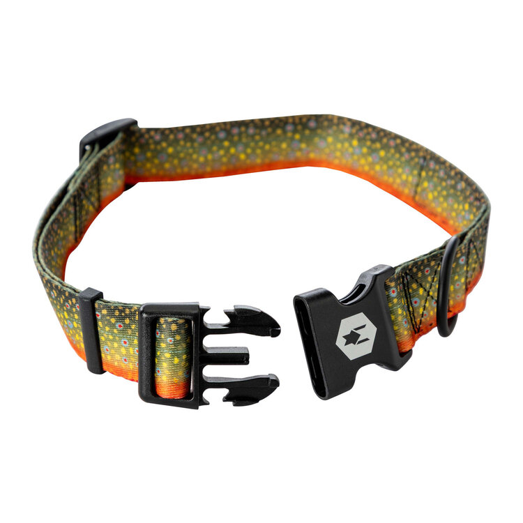 BrookTrout Dog Collar 18-26"