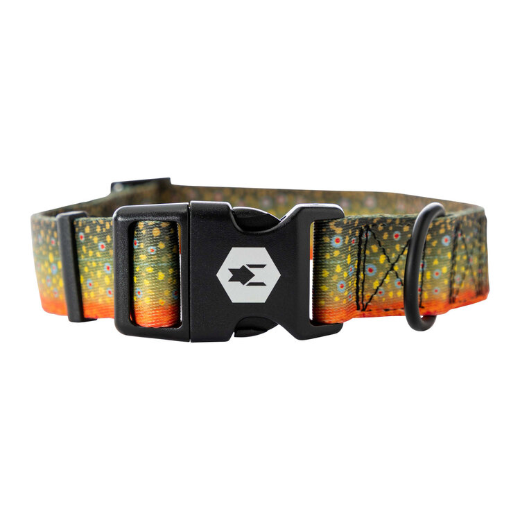 BrookTrout Dog Collar 18-26"