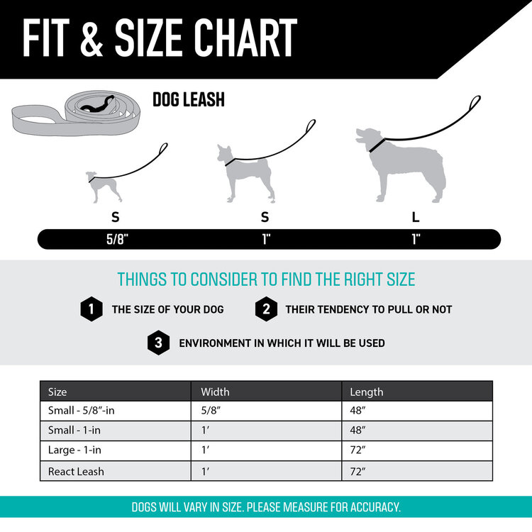 DayDream Dog Leash 6'