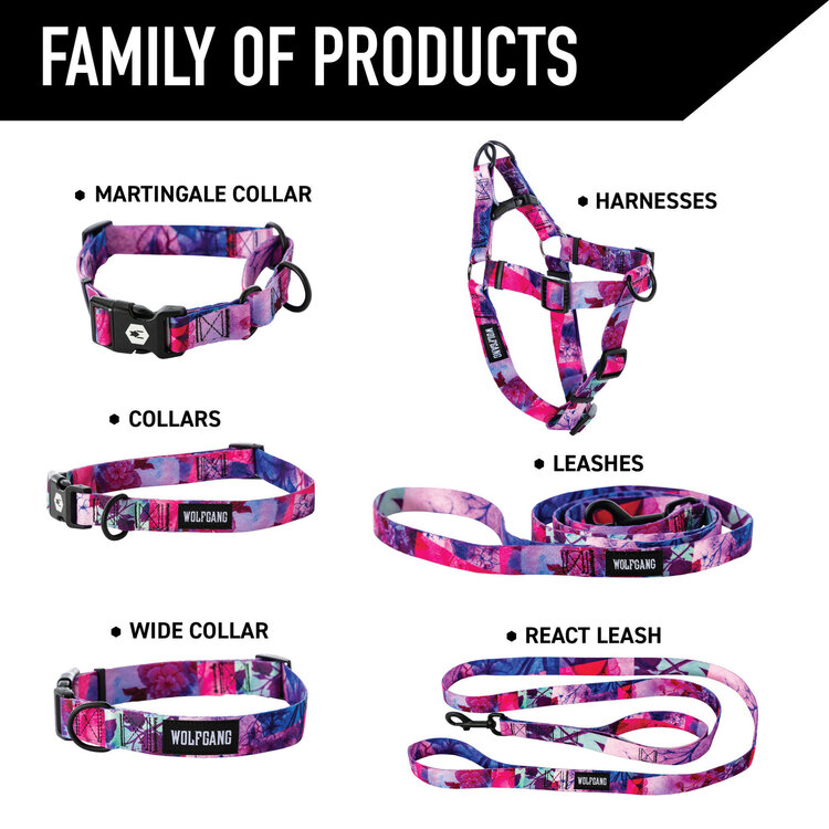 DayDream Dog Leash 6'