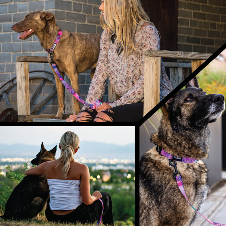 DayDream Dog Leash 6'