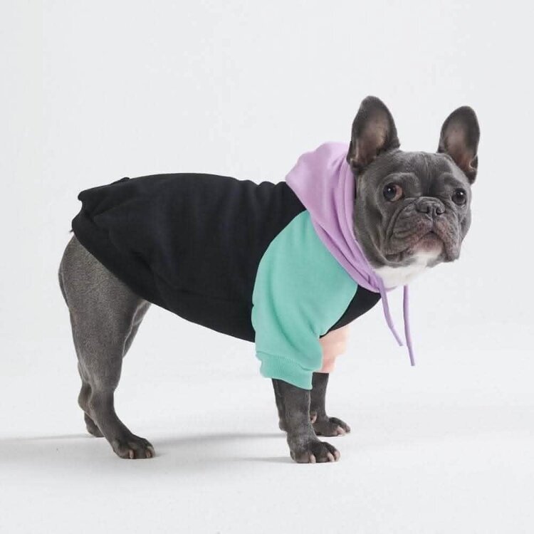Spark Paws Spark Paws Dog Hoodie