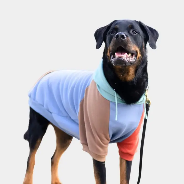 Spark Paws Spark Paws Dog Hoodie