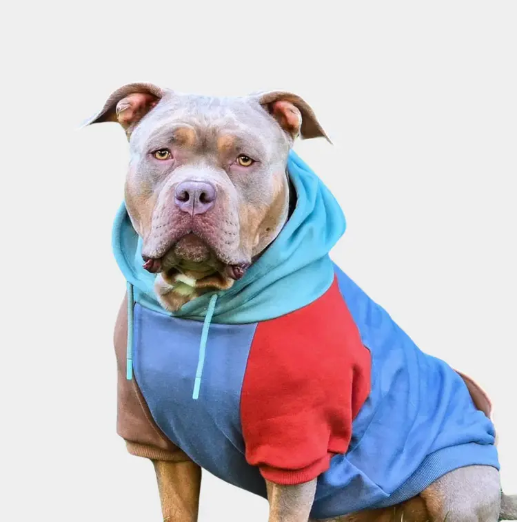 Spark Paws Spark Paws Dog Hoodie