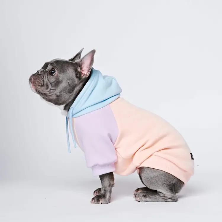 Spark Paws Spark Paws Dog Hoodie